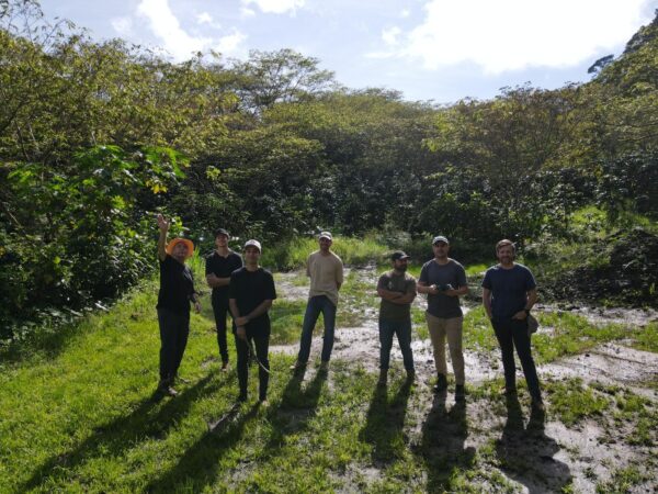 Mexico - Cofincaf Chiapas Honey SHG - Image 3