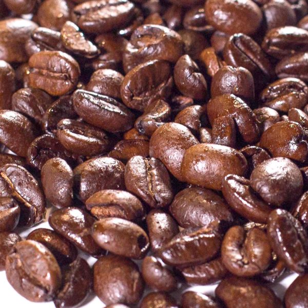 Organic-Homefire--coffee-beans-friedrichs-wholesale