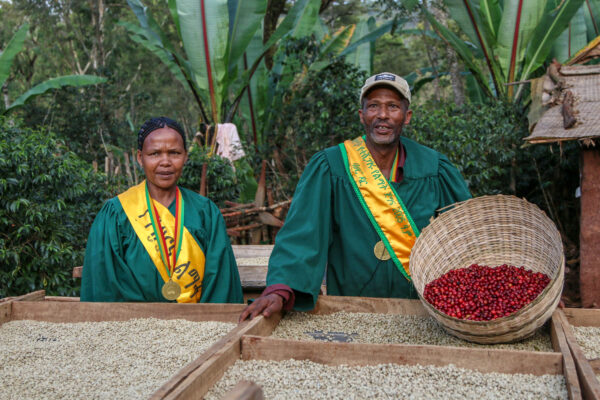 Ethiopia - Limited Reserve