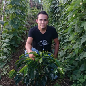 Origin Stories Subscription