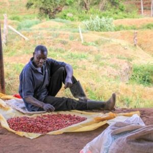 Kenya Karimikui AA - Kirinyaga