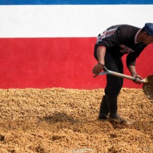 Costa Rica Las Lajas – Finca El Cerro - 12 oz Retail Bag, Whole Bean